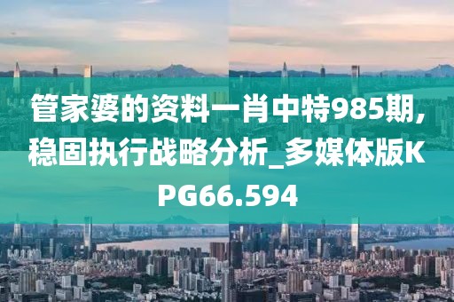 管家婆的资料一肖中特985期,稳固执行战略分析_多媒体版KPG66.594