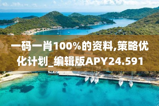 一码一肖100%的资料,策略优化计划_编辑版APY24.591