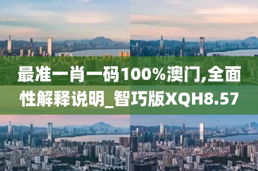 最准一肖一码100%澳门,全面性解释说明_智巧版XQH8.57