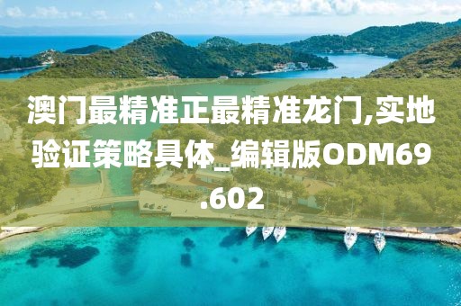 澳门最精准正最精准龙门,实地验证策略具体_编辑版ODM69.602