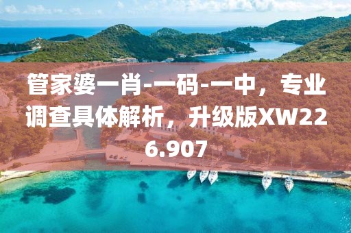 管家婆一肖-一码-一中，专业调查具体解析，升级版XW226.907