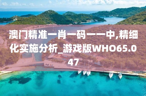 澳门精准一肖一码一一中,精细化实施分析_游戏版WHO65.047
