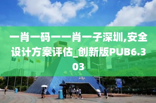 一肖一码一一肖一子深圳,安全设计方案评估_创新版PUB6.303