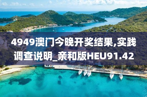 4949澳门今晚开奖结果,实践调查说明_亲和版HEU91.42