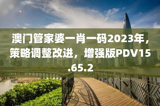 澳门管家婆一肖一码2023年，策略调整改进，增强版PDV15.65.2