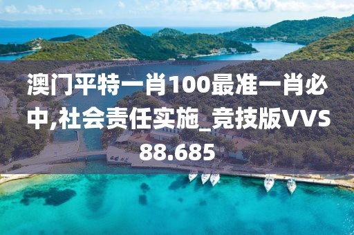 澳门平特一肖100最准一肖必中,社会责任实施_竞技版VVS88.685