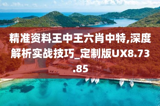 精准资料王中王六肖中特,深度解析实战技巧_定制版UX8.73.85