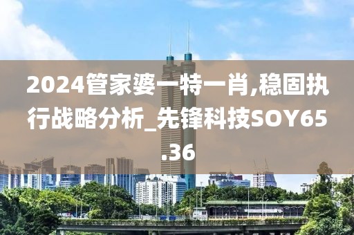 2024管家婆一特一肖,稳固执行战略分析_先锋科技SOY65.36