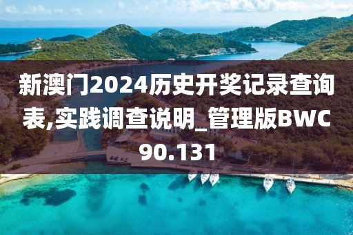新澳门2024历史开奖记录查询表,实践调查说明_管理版BWC90.131