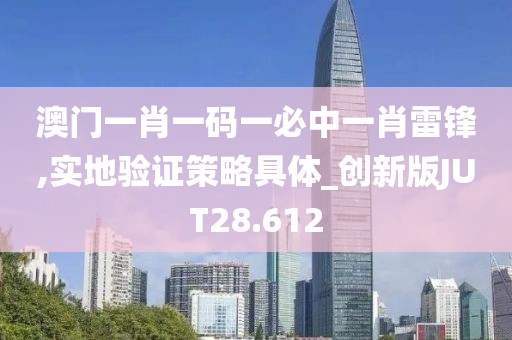 澳门一肖一码一必中一肖雷锋,实地验证策略具体_创新版JUT28.612
