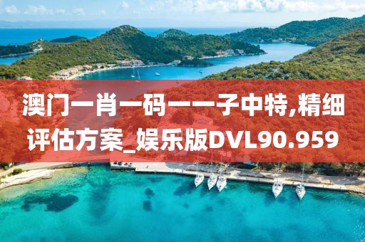 澳门一肖一码一一子中特,精细评估方案_娱乐版DVL90.959