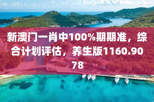 新澳门一肖中100%期期准，综合计划评估，养生版1160.9078