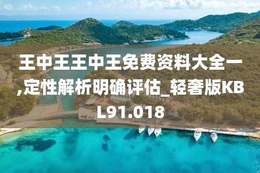 王中王王中王免费资料大全一,定性解析明确评估_轻奢版KBL91.018