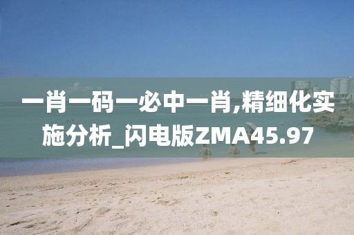 一肖一码一必中一肖,精细化实施分析_闪电版ZMA45.97