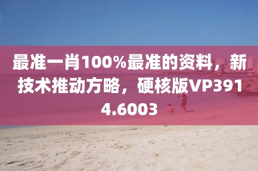 最准一肖100%最准的资料，新技术推动方略，硬核版VP3914.6003