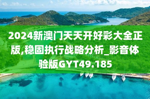 2024新澳门天天开好彩大全正版,稳固执行战略分析_影音体验版GYT49.185