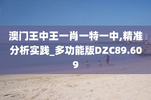 澳门王中王一肖一特一中,精准分析实践_多功能版DZC89.609