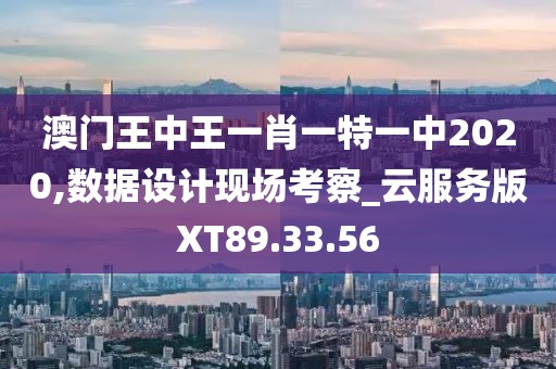 澳门王中王一肖一特一中2020,数据设计现场考察_云服务版XT89.33.56