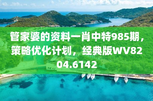 管家婆的资料一肖中特985期，策略优化计划，经典版WV8204.6142