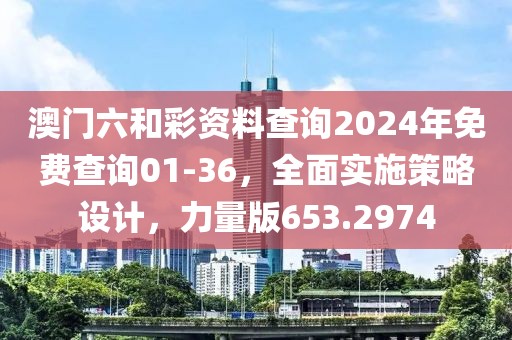澳门六和彩资料查询2024年免费查询01-36，全面实施策略设计，力量版653.2974