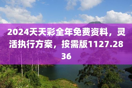 2024天天彩全年免费资料，灵活执行方案，按需版1127.2836