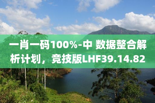 一肖一码100%-中 数据整合解析计划，竞技版LHF39.14.82