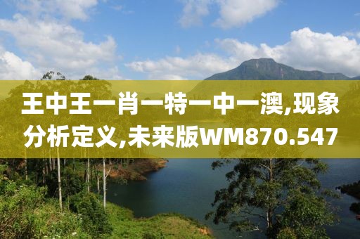 王中王一肖一特一中一澳,现象分析定义,未来版WM870.547