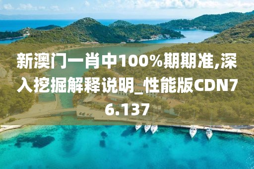 新澳门一肖中100%期期准,深入挖掘解释说明_性能版CDN76.137