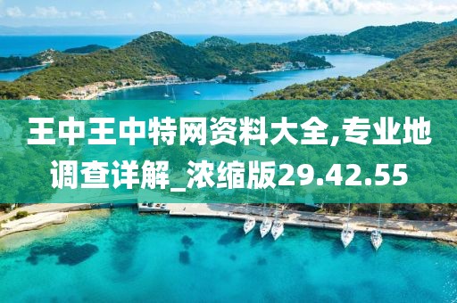 王中王中特网资料大全,专业地调查详解_浓缩版29.42.55