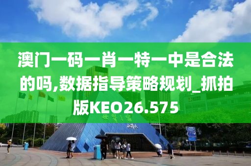 澳门一码一肖一特一中是合法的吗,数据指导策略规划_抓拍版KEO26.575