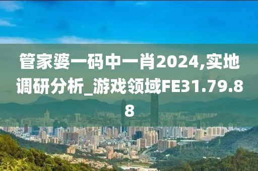 管家婆一码中一肖2024,实地调研分析_游戏领域FE31.79.88