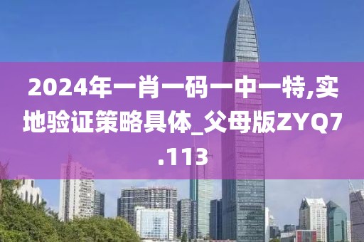 2024年一肖一码一中一特,实地验证策略具体_父母版ZYQ7.113