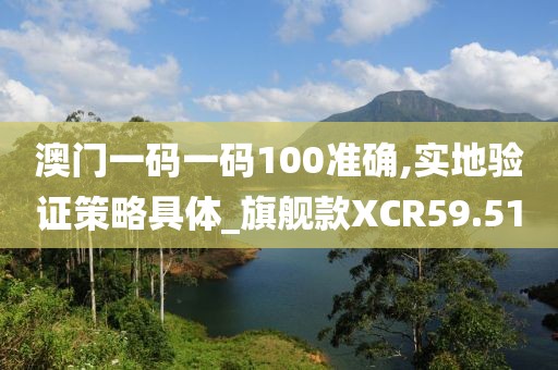 澳门一码一码100准确,实地验证策略具体_旗舰款XCR59.51