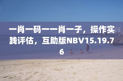一肖一码一一肖一子，操作实践评估，互助版NBV15.19.76