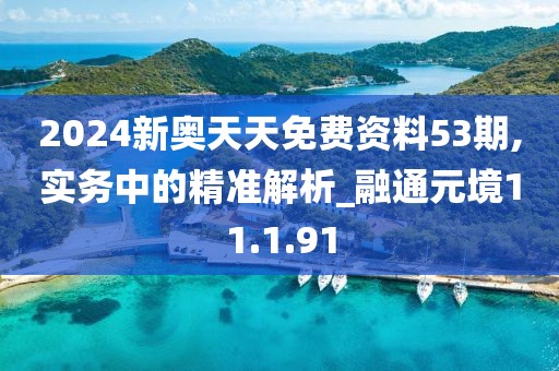 2024新奥天天免费资料53期,实务中的精准解析_融通元境11.1.91