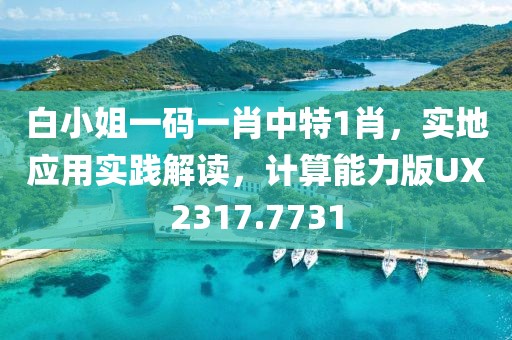 白小姐一码一肖中特1肖，实地应用实践解读，计算能力版UX2317.7731
