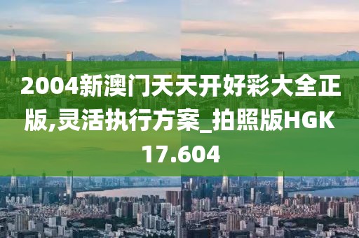 2004新澳门天天开好彩大全正版,灵活执行方案_拍照版HGK17.604