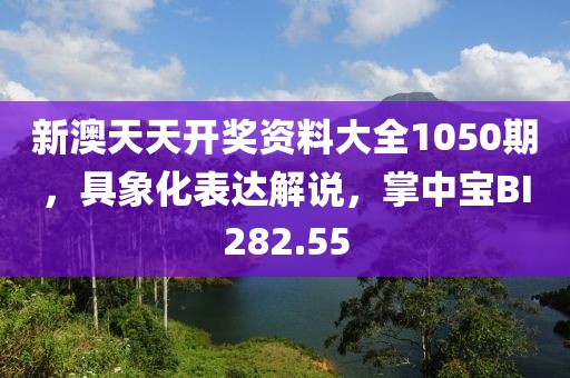 新澳天天开奖资料大全1050期，具象化表达解说，掌中宝BI282.55