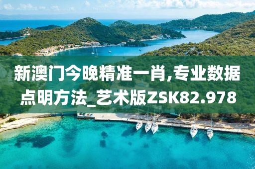 新澳门今晚精准一肖,专业数据点明方法_艺术版ZSK82.978