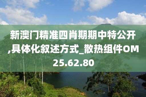 新澳门精准四肖期期中特公开,具体化叙述方式_散热组件OM25.62.80
