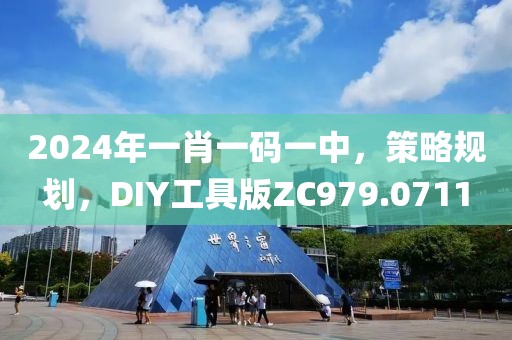 2024年一肖一码一中，策略规划，DIY工具版ZC979.0711