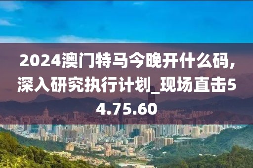 2024澳门特马今晚开什么码,深入研究执行计划_现场直击54.75.60