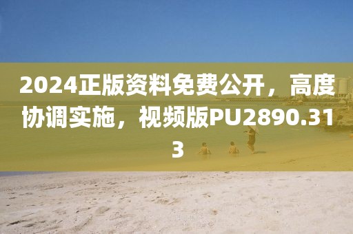 2024正版资料免费公开，高度协调实施，视频版PU2890.313