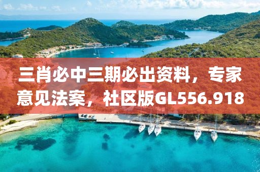 三肖必中三期必出资料，专家意见法案，社区版GL556.918