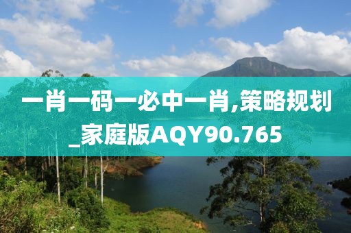 一肖一码一必中一肖,策略规划_家庭版AQY90.765