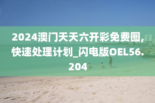 2024澳门天天六开彩免费图,快速处理计划_闪电版OEL56.204