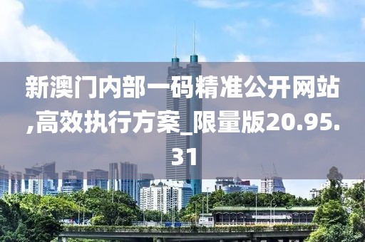 新澳门内部一码精准公开网站,高效执行方案_限量版20.95.31