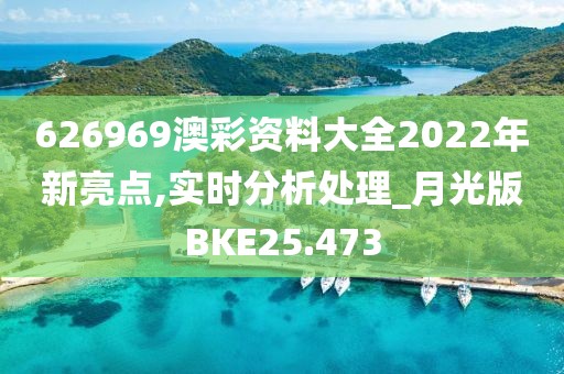 626969澳彩资料大全2022年新亮点,实时分析处理_月光版BKE25.473