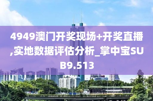 4949澳门开奖现场+开奖直播,实地数据评估分析_掌中宝SUB9.513