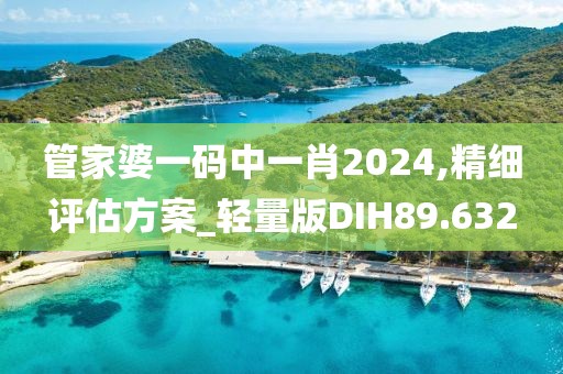 管家婆一码中一肖2024,精细评估方案_轻量版DIH89.632
